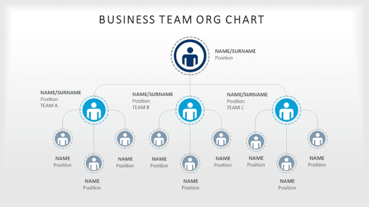 Business Team Org Chart